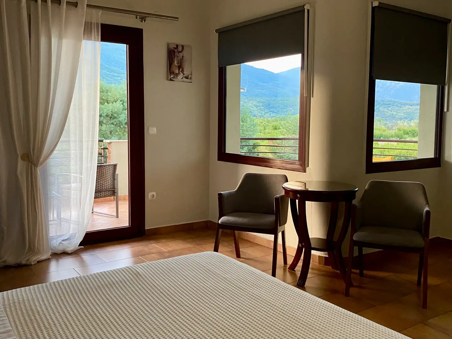 Gaia Pozar - Hotel and Spa prive - Δωμάτιο με θέα στο βουνό